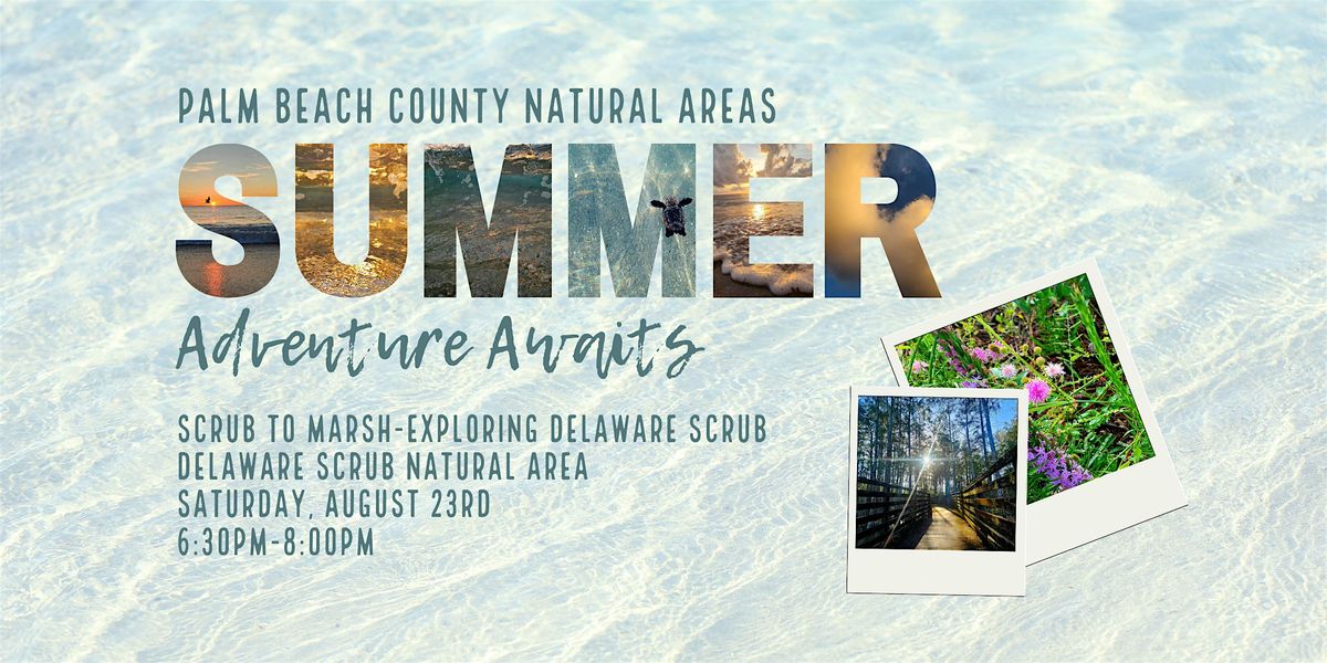 Scrub to Marsh - Exploring Delaware Scrub Natural Area