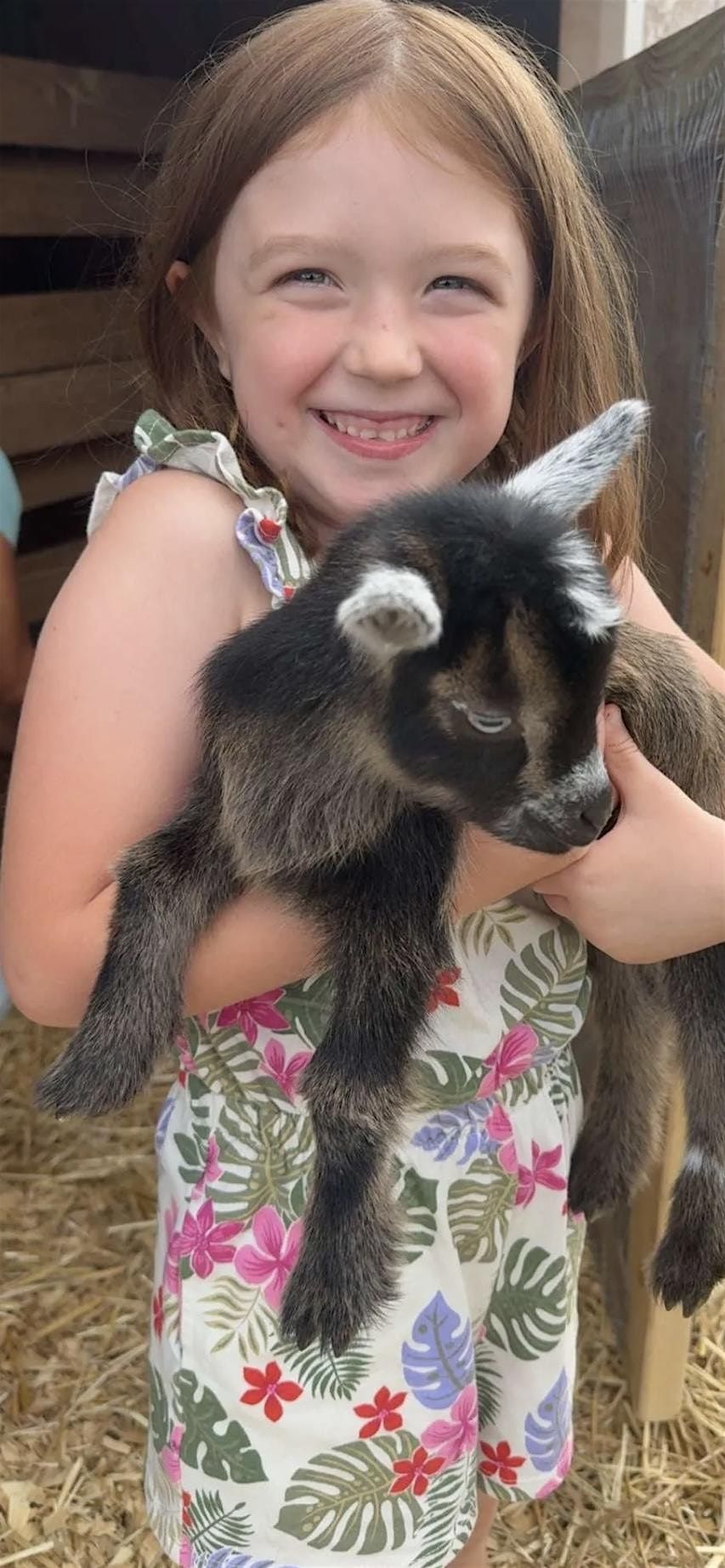 Goat Snuggles & Cider at Paradise Groves Farm