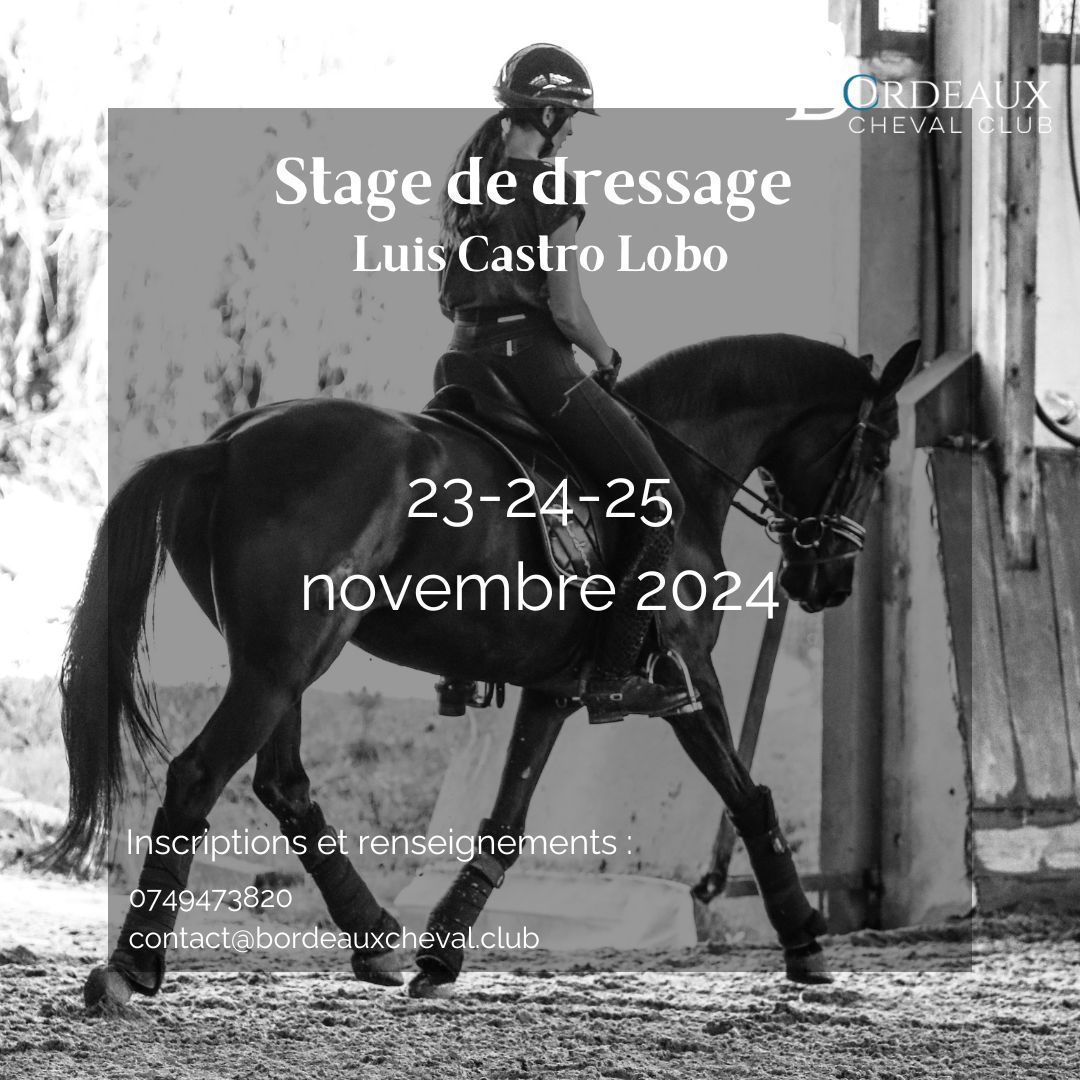 Stage de dressage avec Luis Castro Lobo