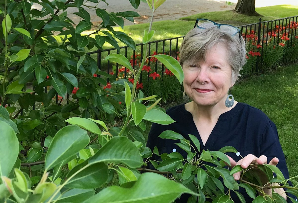 FESTIVAL WORKSHOP: Walking and Writing: Led by Valerie Sayers