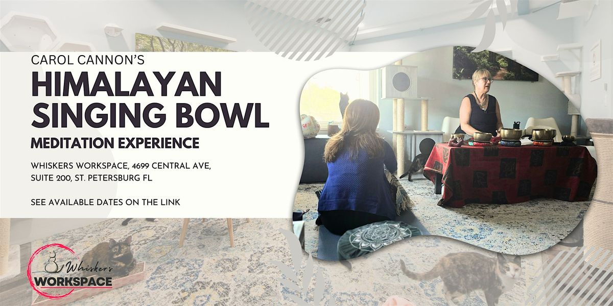 Himalayan Singing Bowl Meditation with cats