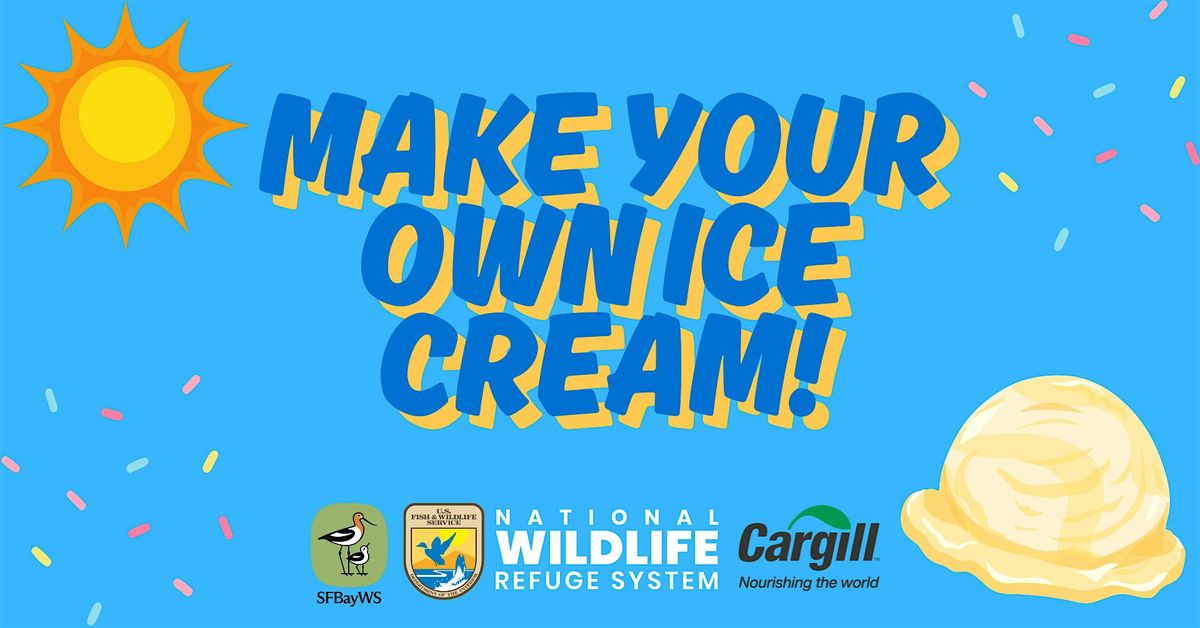 Make Your Own Ice Cream!