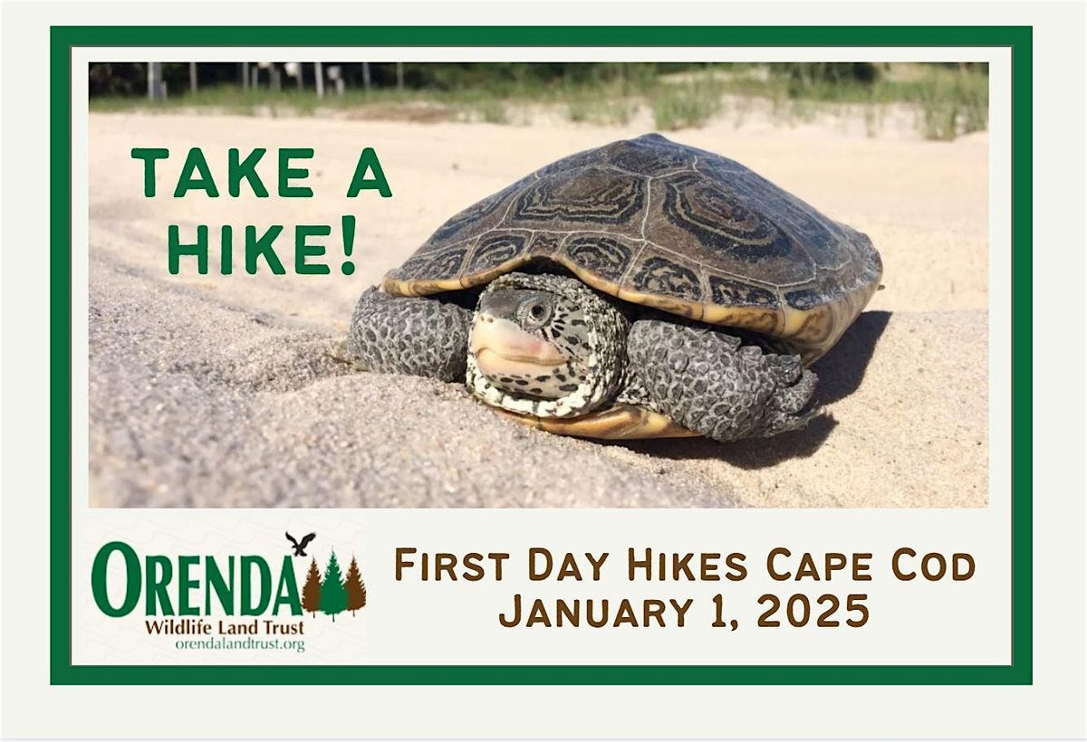 Orenda Wildlife Land Trust: First Day Hikes Cape Cod 2025!