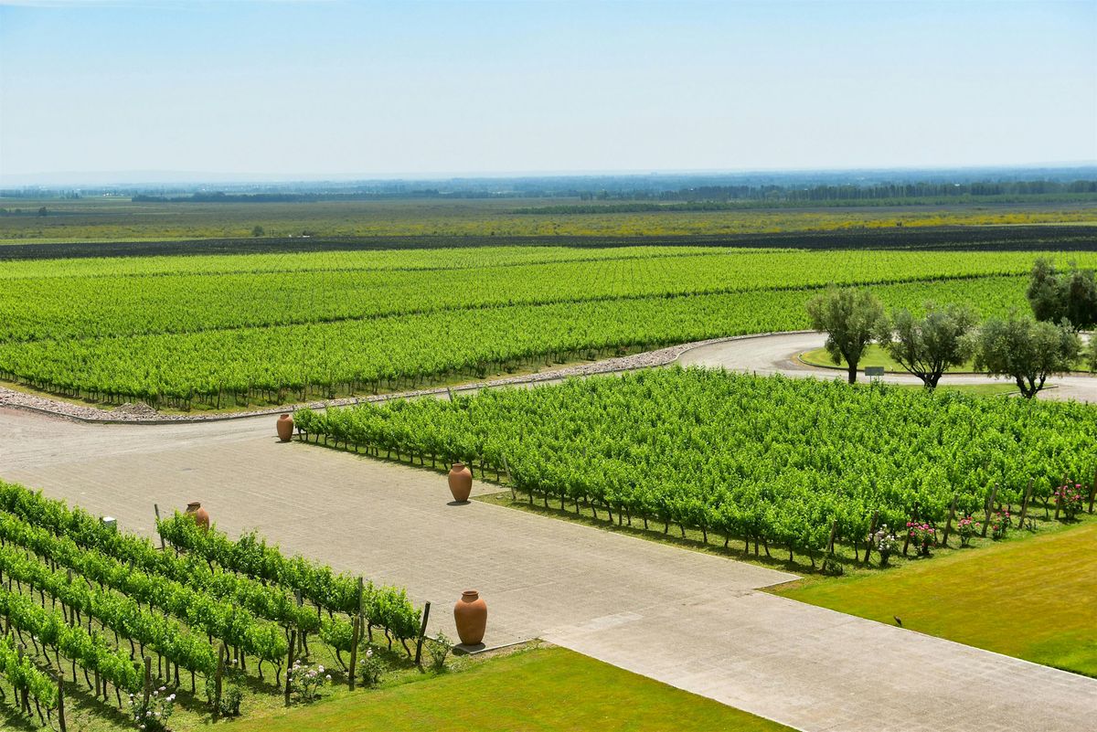 A Visit to Mendoza
