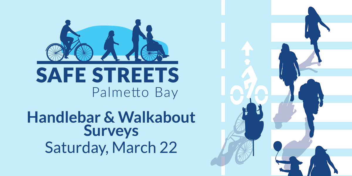 Saturday Handlebar & Walkabout Surveys