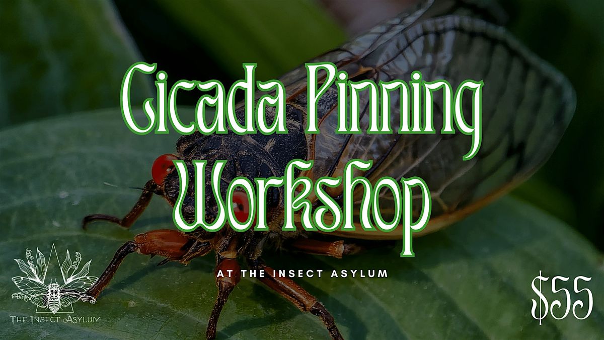 Cicada Pinning Workshop