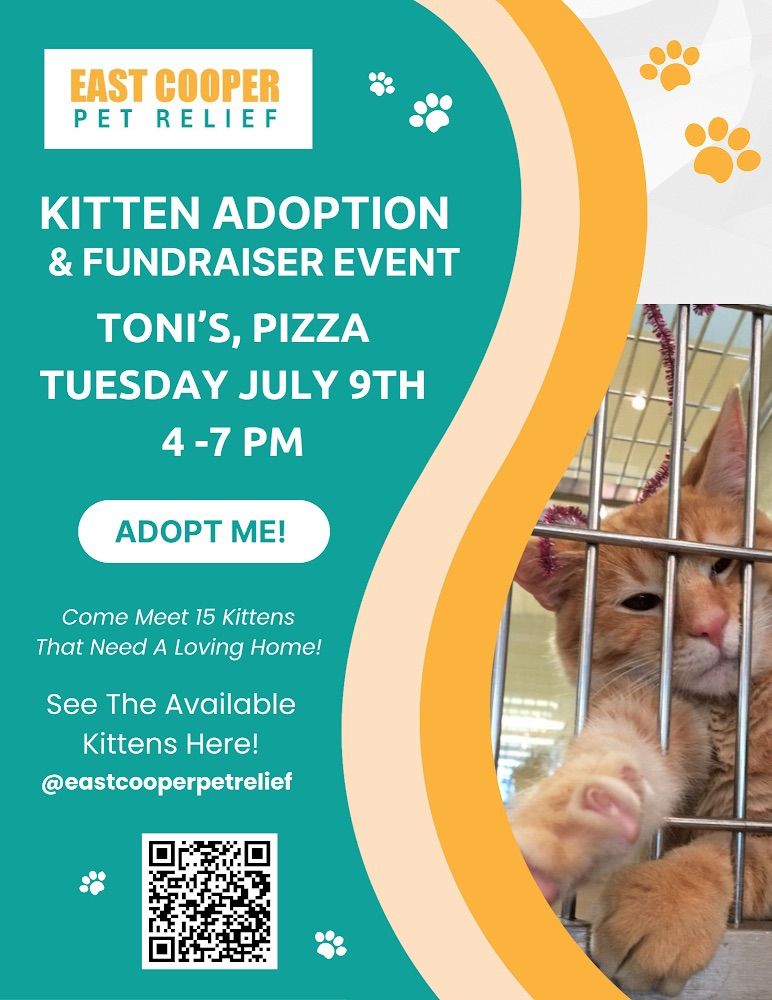 Cat Adoption Event