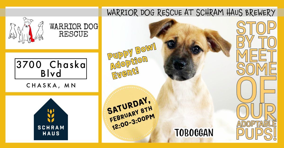 Warrior Dog Rescue at Schram Haus Brewery - Puppy Bowl! 