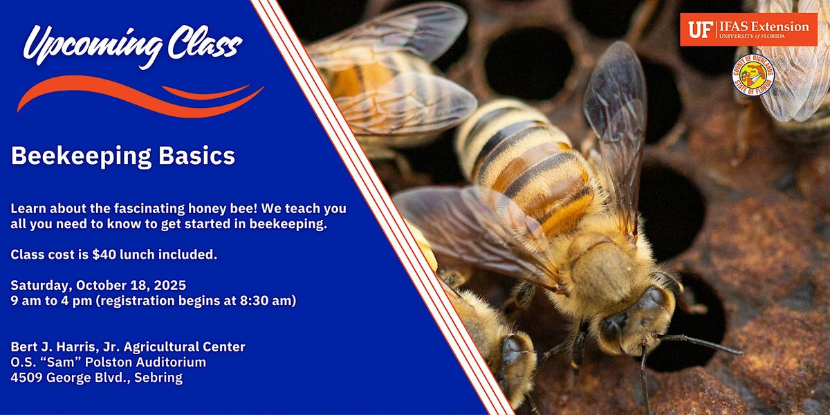 Beekeeping Basics