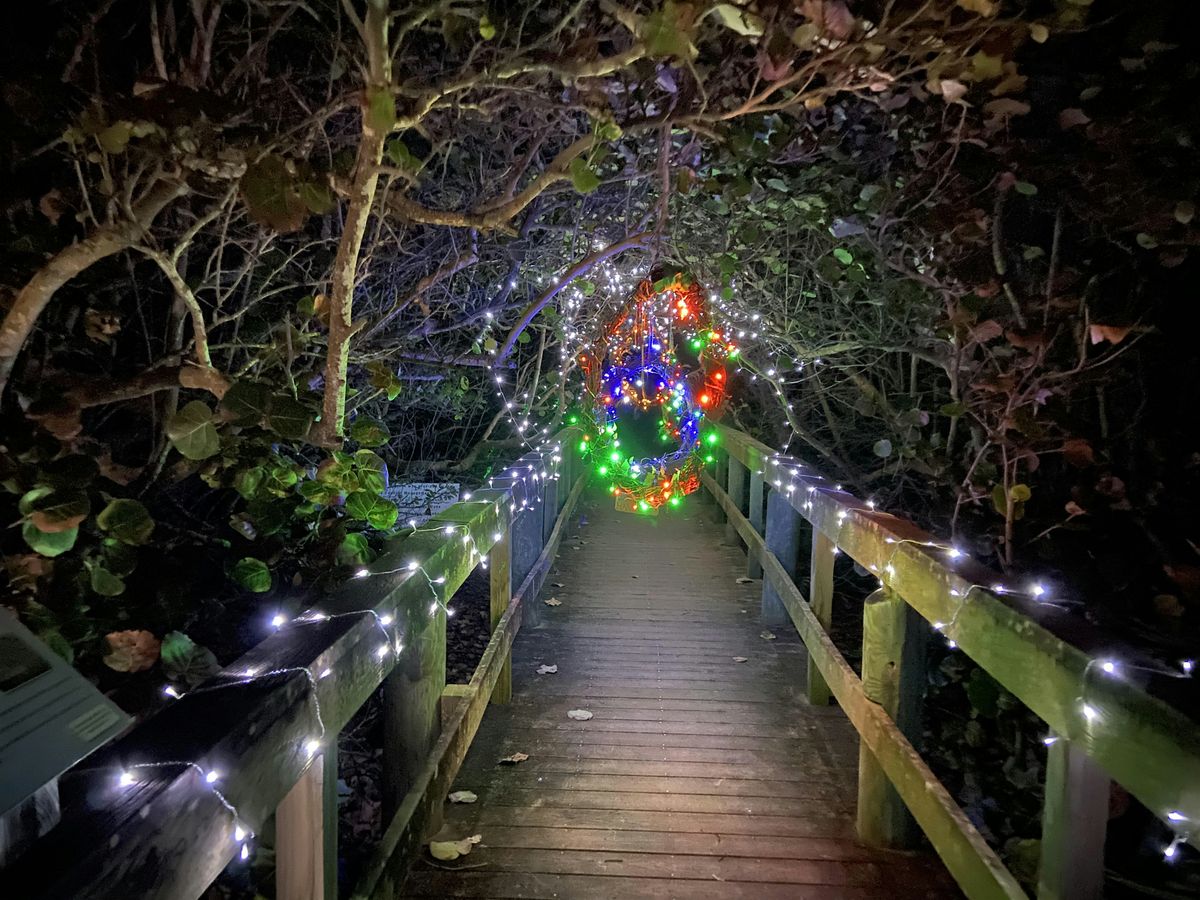 Fall Festive Wreathe Making With Florida Natives