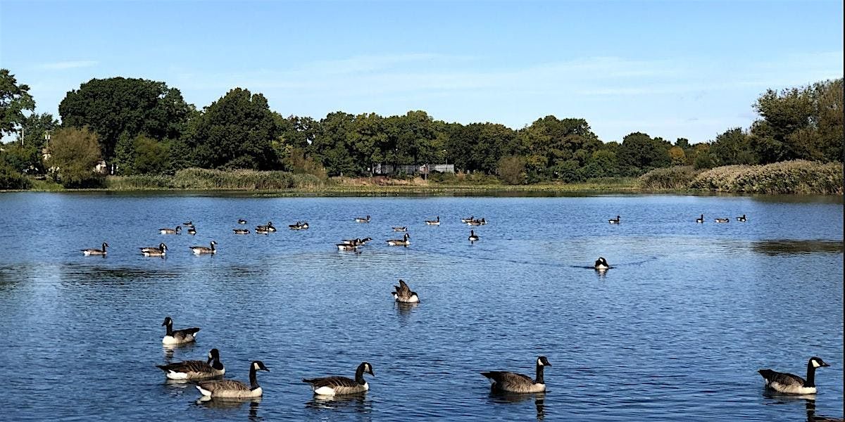 Baisley Pond Park Cleanup