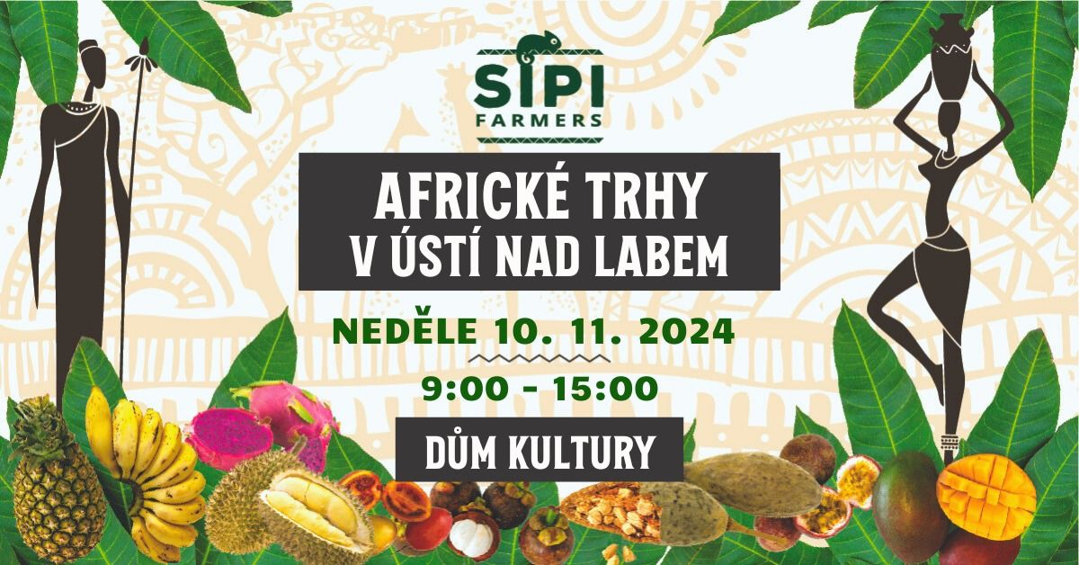 Africk\u00e9 trhy v \u00dast\u00ed nad Labem