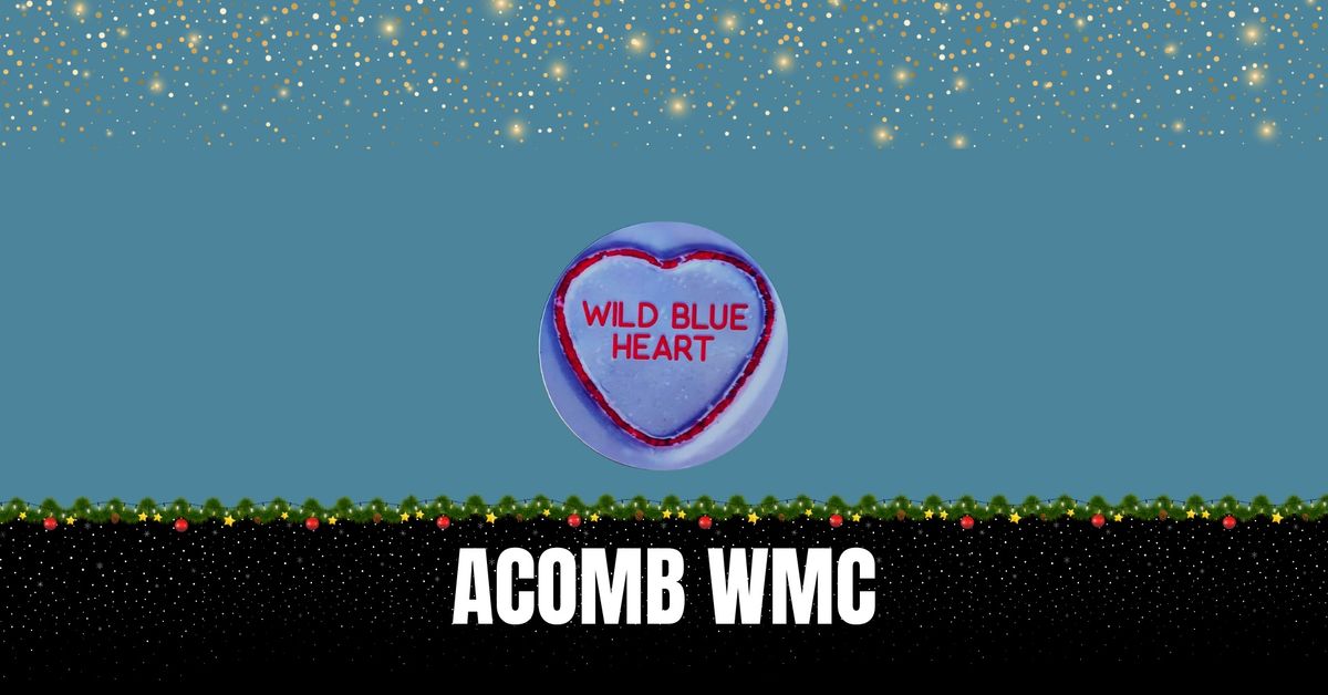 Wild Blue Heart LIVE @ Acomb WMC