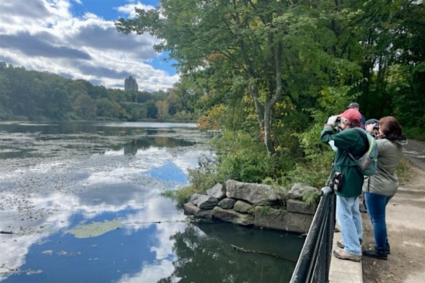 Birding with NYC Bird Alliance (formerly NYC Audubon)
