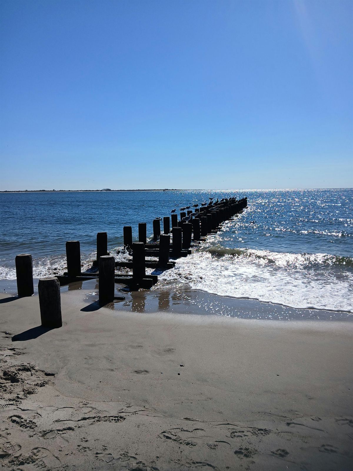 BRW Live in Brooklyn on the Beach w\/ EcoDharma Teacher Lin Gordon