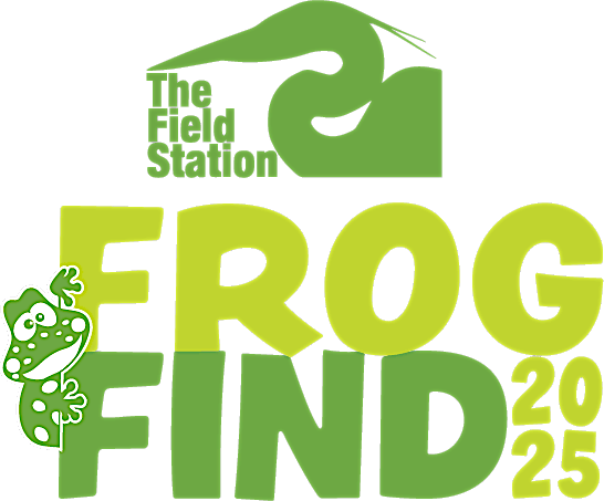 Frog Find 2025