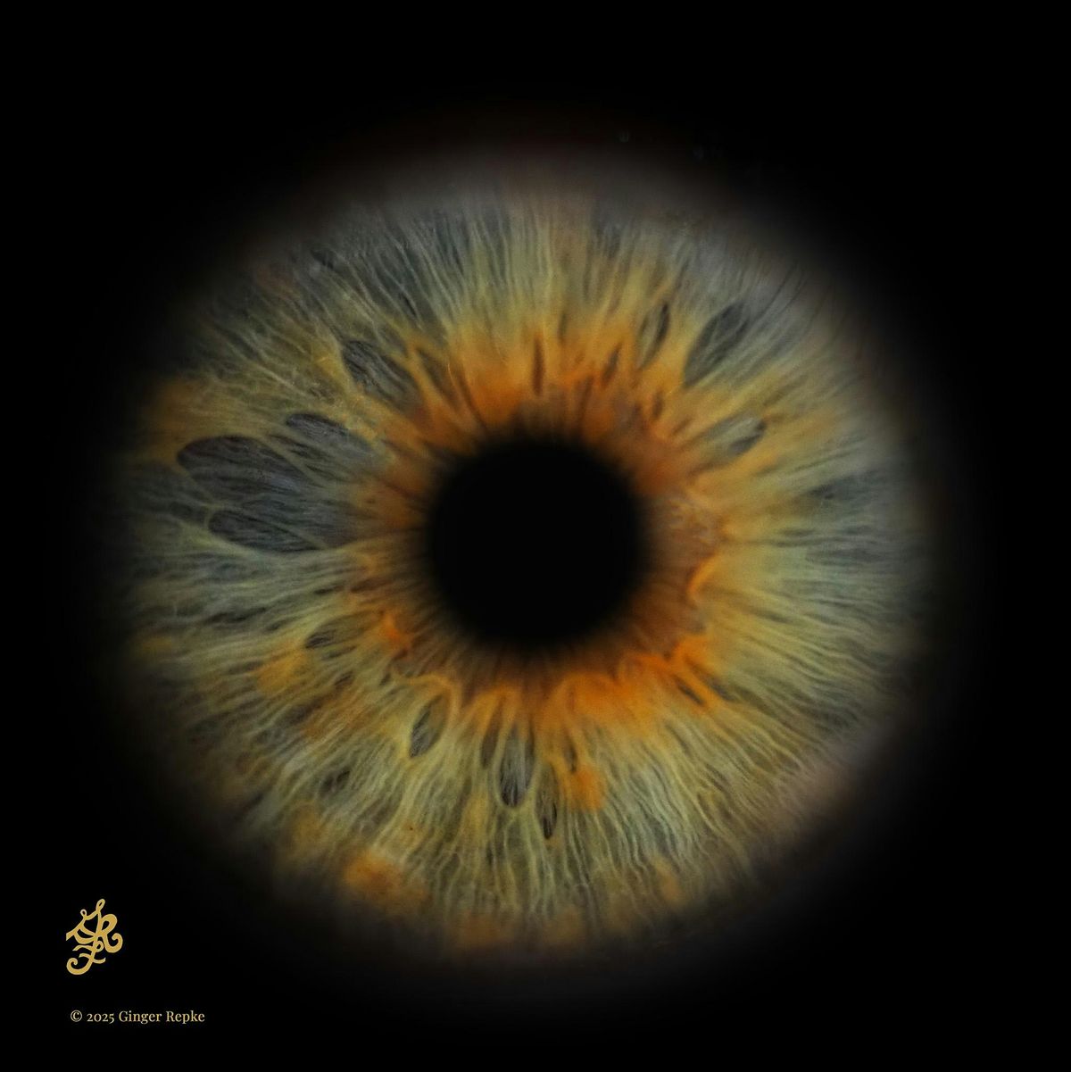 Live Iris Art Experience \u2013 Quick Shots Pop-Up