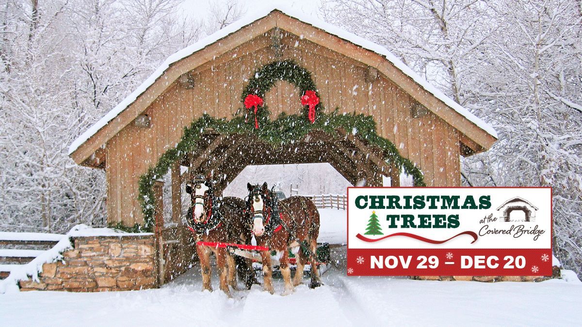 CHRISTMAS TREES @the Covered Bridge