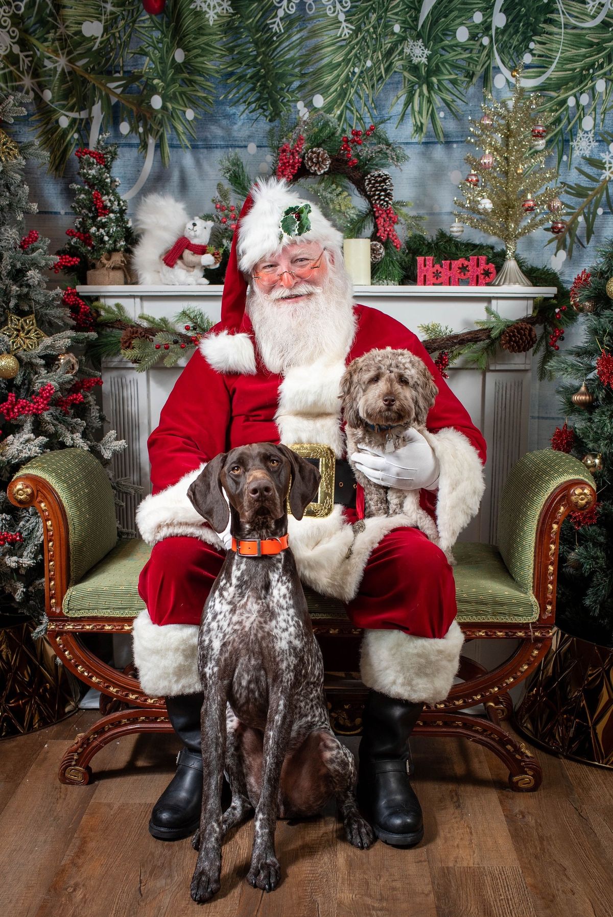 Santa Pics at The Doggie Bag