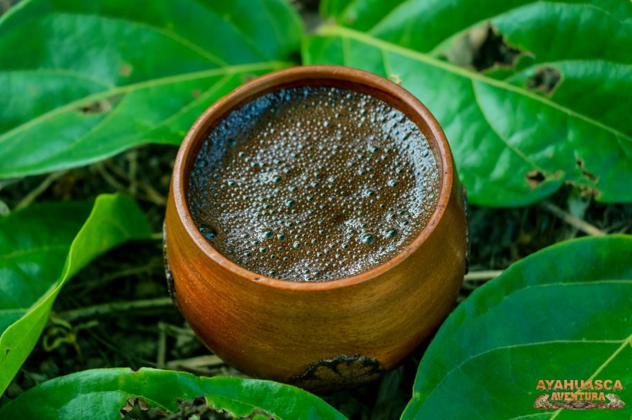 Ayahuasca Ceremony in Tijuana