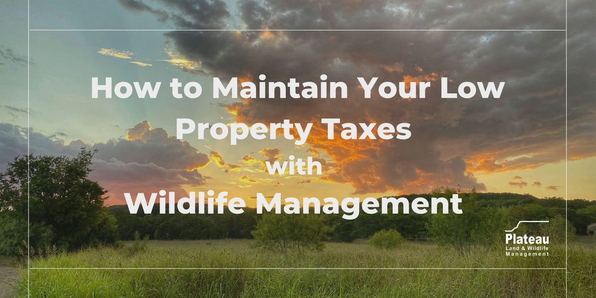 Maintain your Low Property Taxes with Wildlife Management -Bastrop