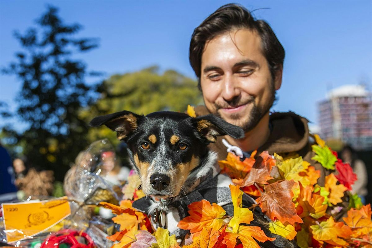 Howl'oween at The Bentway
