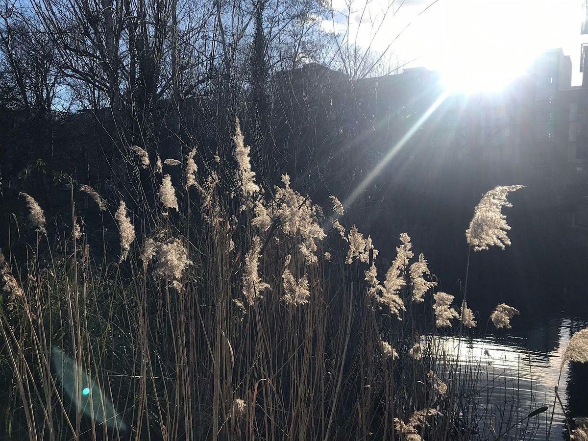 Fortnightly Meditation group at Firepit Art Gallery with Cara