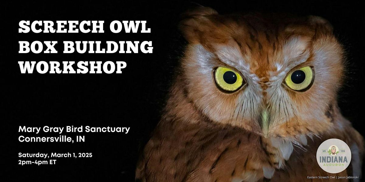 Screech Owl Box Building Workshop