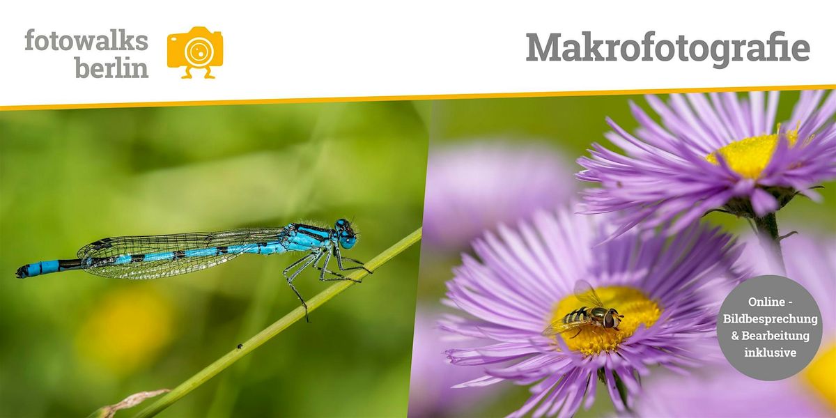 Fotokurs Berlin: Makrofotografie  Outdoor am 06.06.2026 + Bildbesprechung