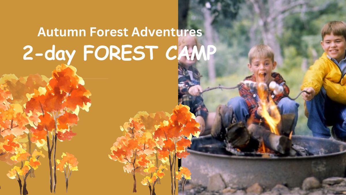 Autumn Forest Camp 2