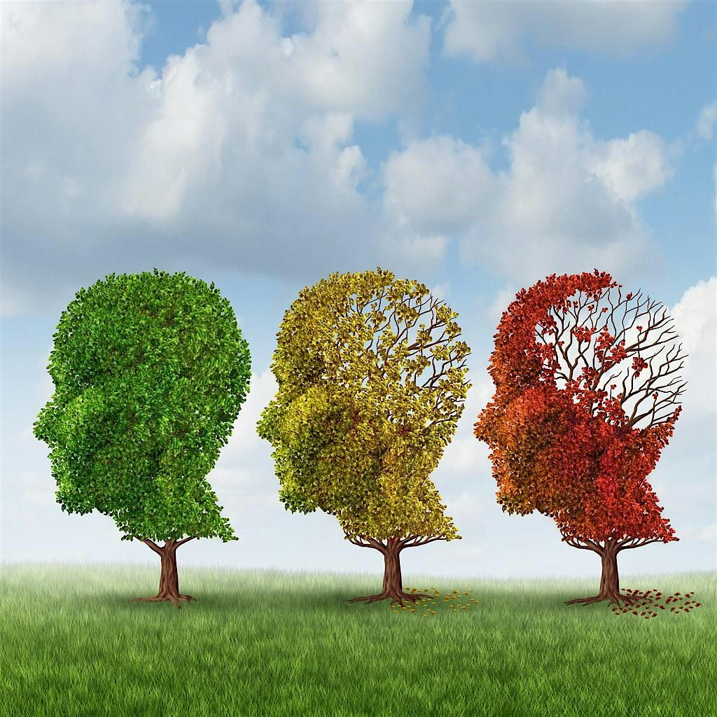 Memory and Aging