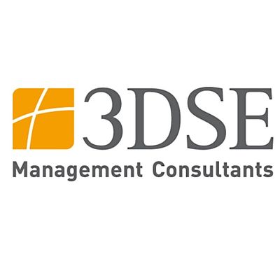 3DSE Management Consultants GmbH