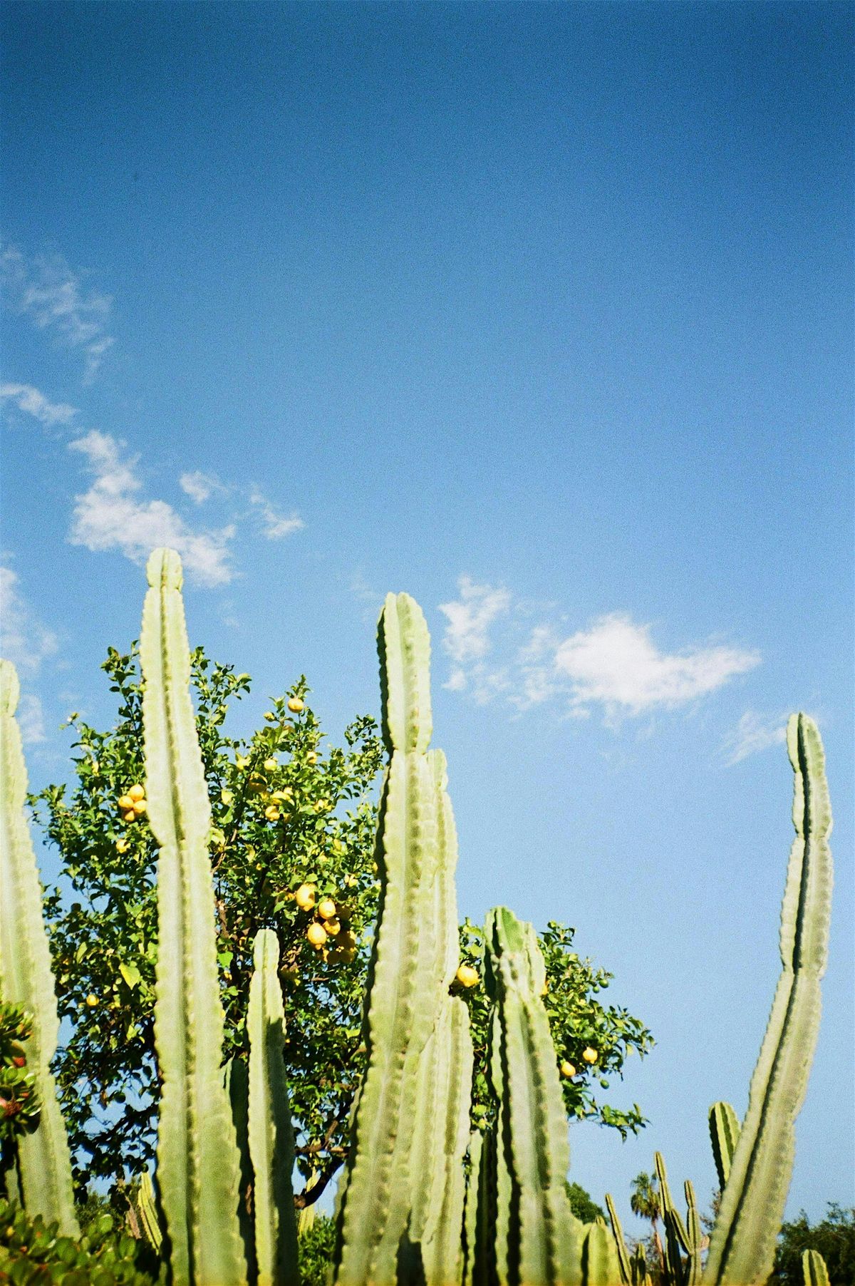 COLECCI\u00d3N [n\u00famero dos]