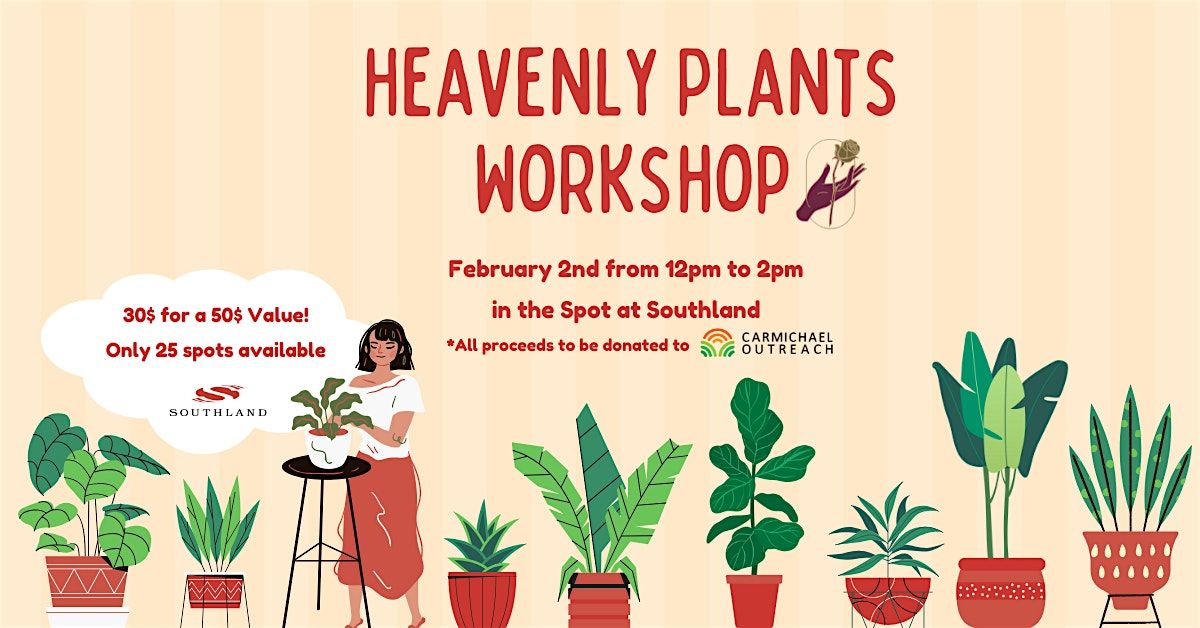 Succulent Arrangement Work Shop