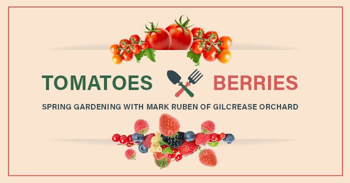 Spring Gardening: Tomatoes and Berries With Mark Ruben of Gilcrease Orchar