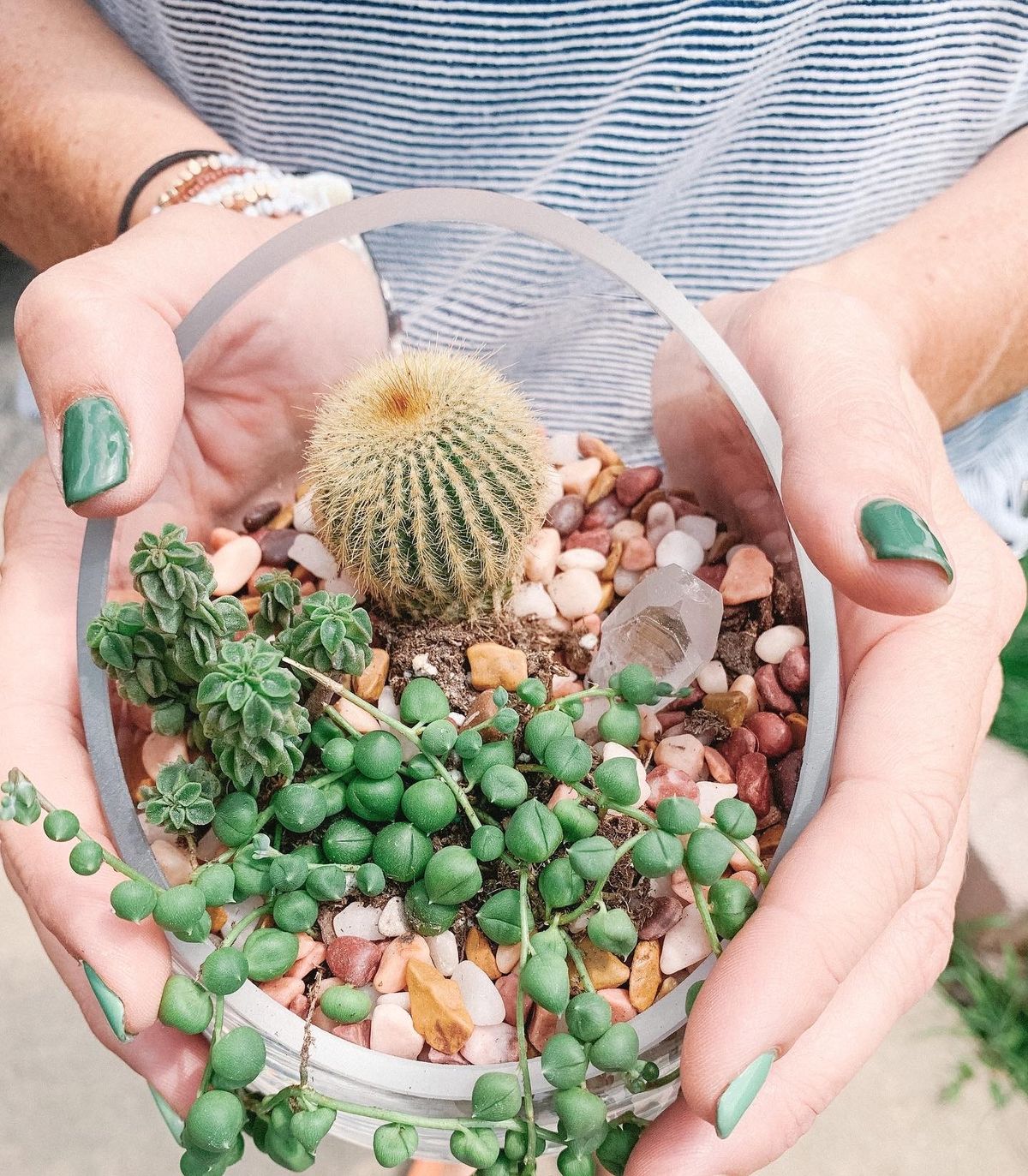  Cactus & Succulent Terrarium Workshop