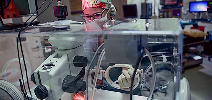 Baylor Assisted Reproductive Technologies Hands-on Workshop
