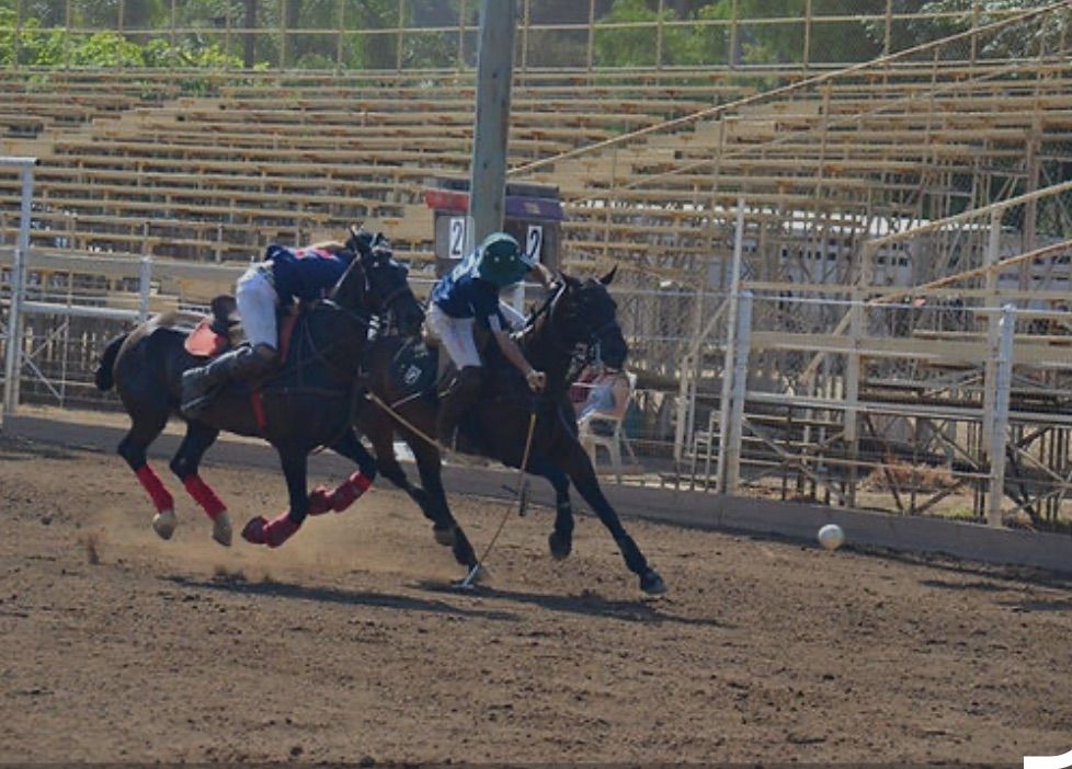 USPA Polo Tournament 