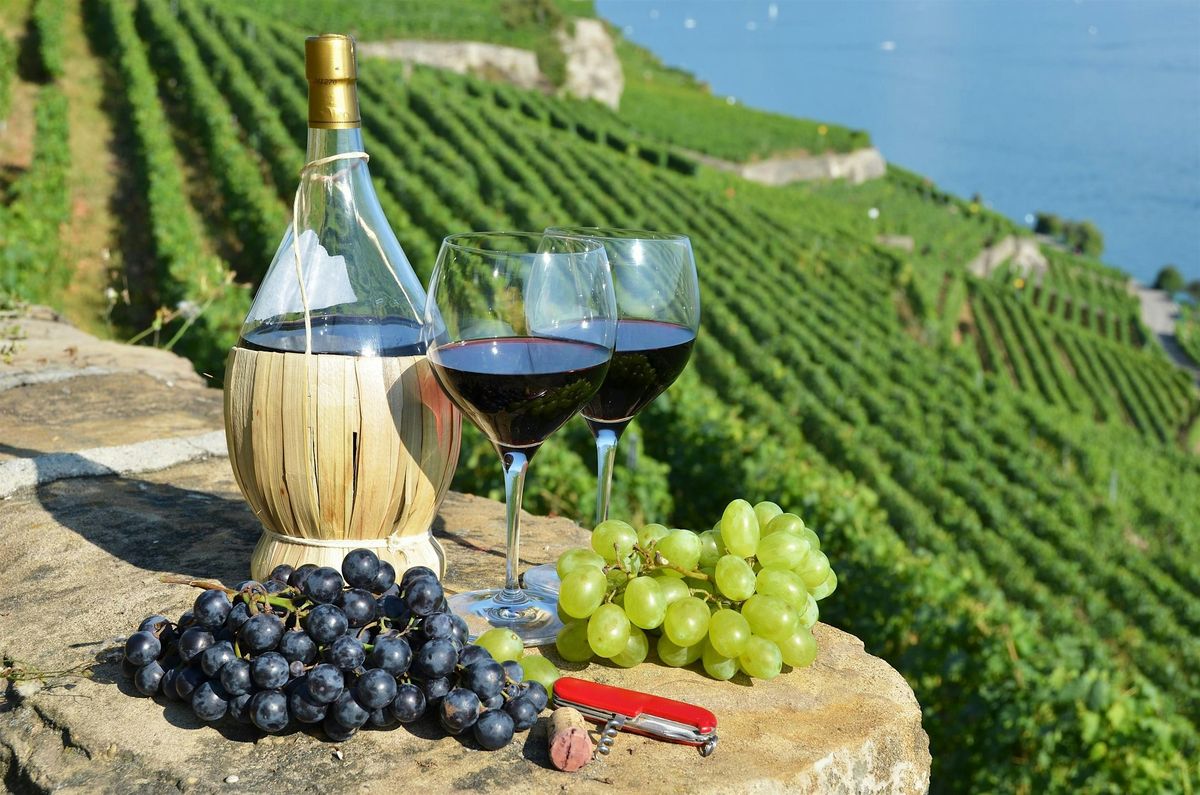 Three Shades of Italy: An Initial Expedition into Italian Wines