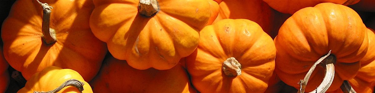 Fun on the Farm: An Ability Inclusive Fall Harvest Festival