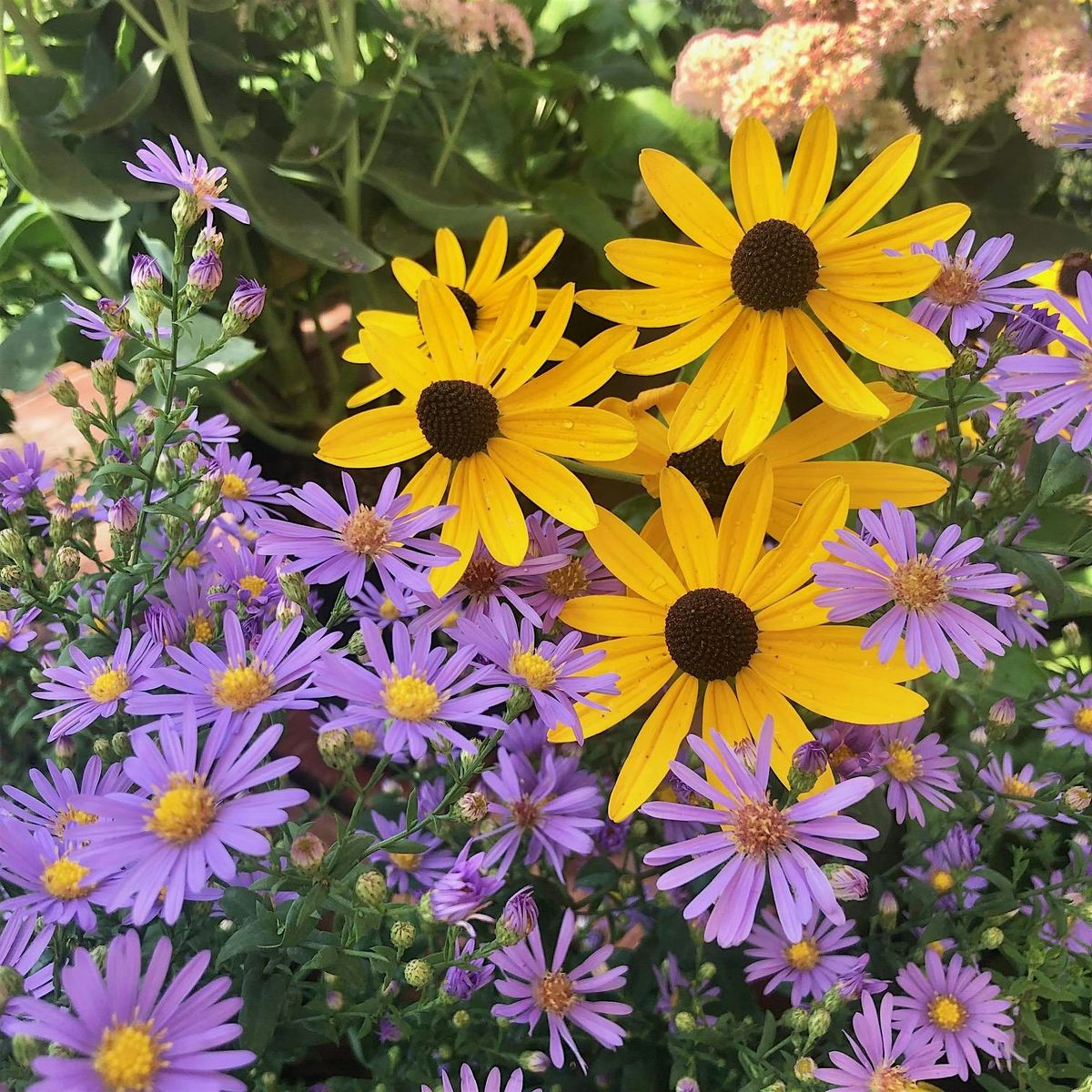 Welcome to Gardening in WNC - What You Need to Know!