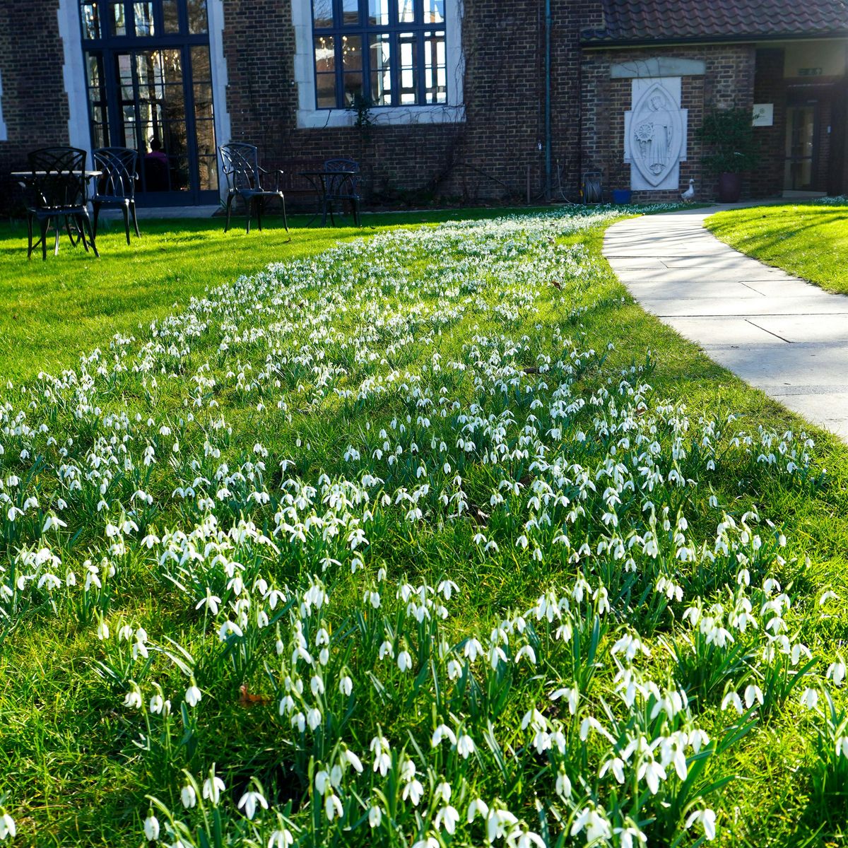 A quiet day with + Adrian Newman  'Decomposing '