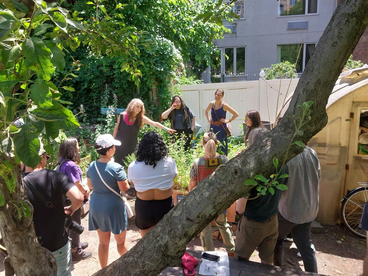 Medicinal Garden Workshop