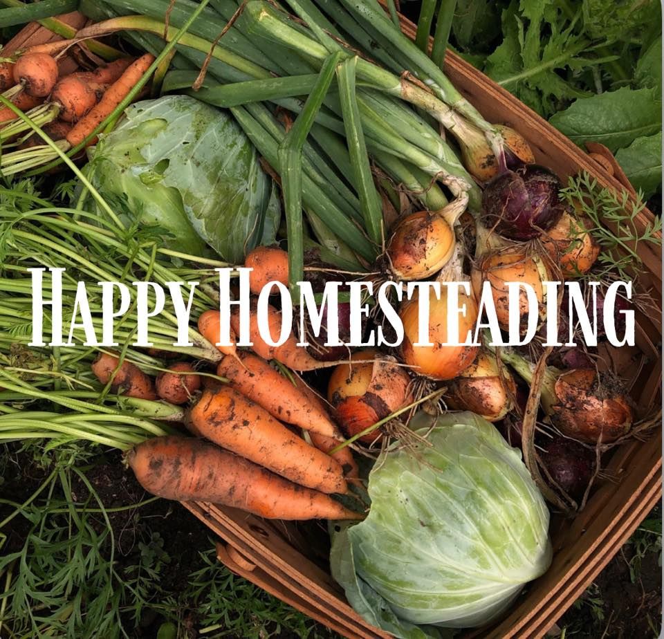 Happy Homesteading community meeting