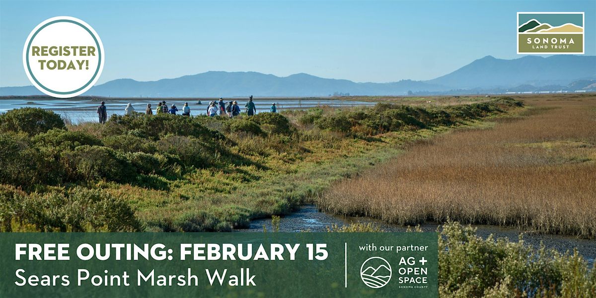 Sears Point Marsh 2-15-25