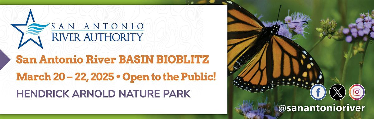 San Antonio River Basin Bioblitz 2025