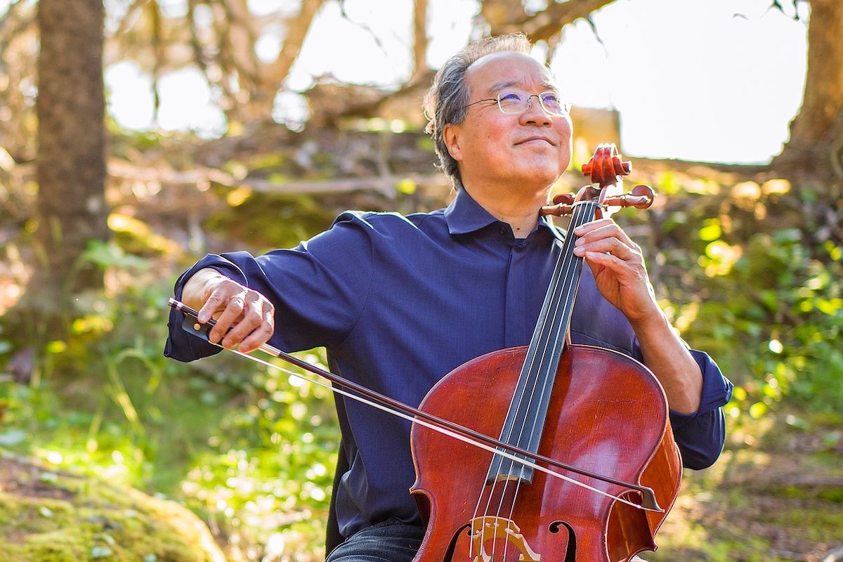 Parking Anne Lamott - San Diego