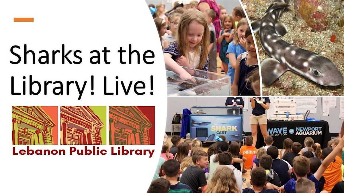 Sharks at the Library! Live!