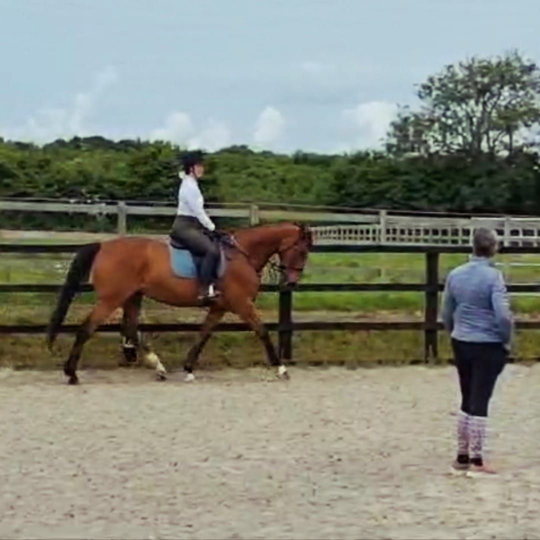 Flatwork with Poles