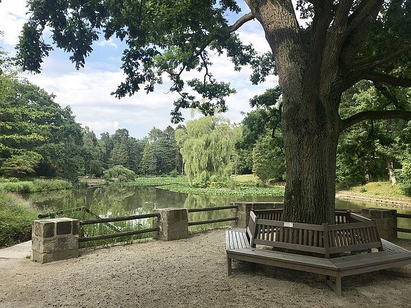 Zeitreise Picknick Bamberg Hainpark